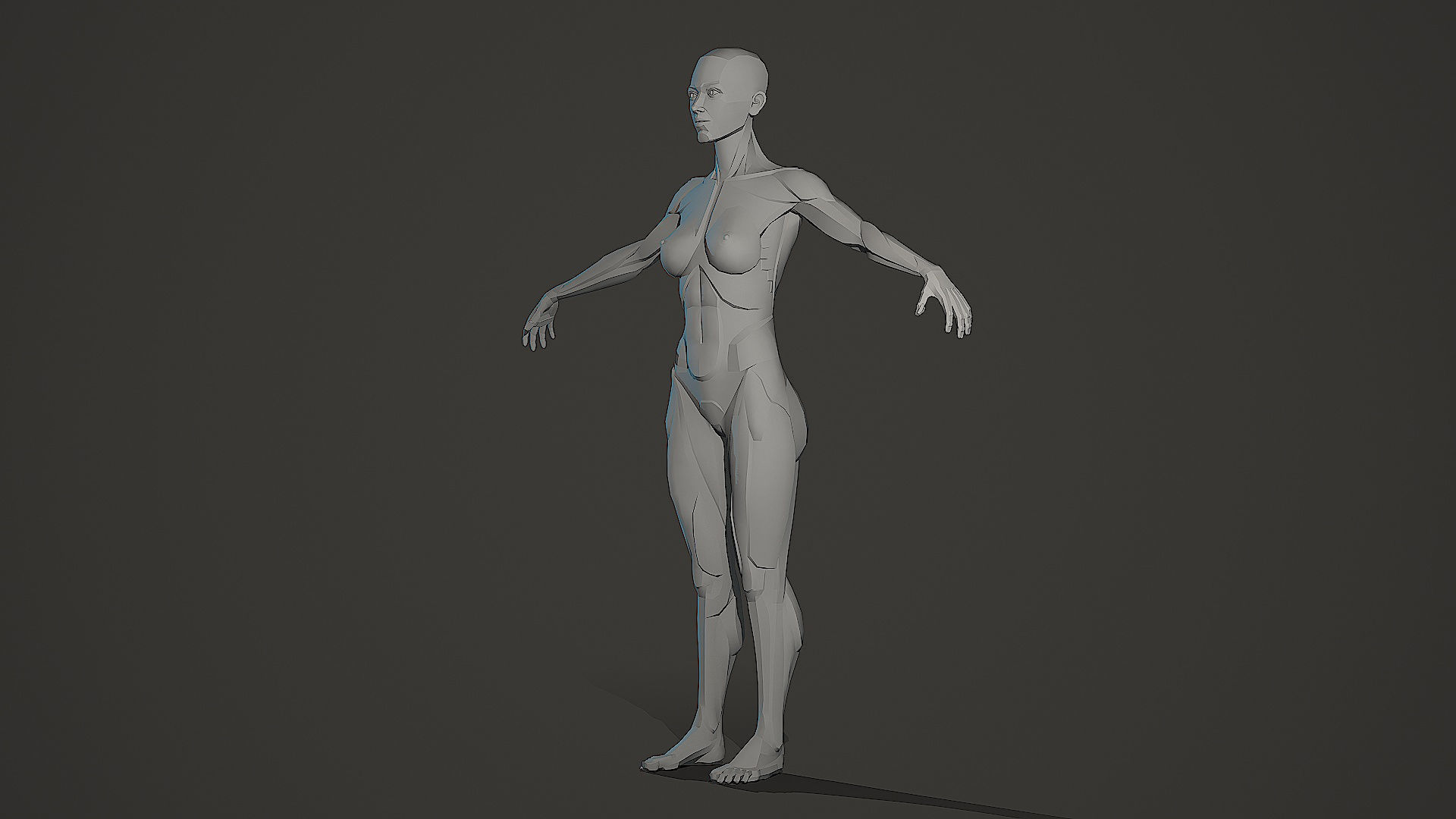 Character - Female Planar Anatomy Body Base Low-poly 3D model_17