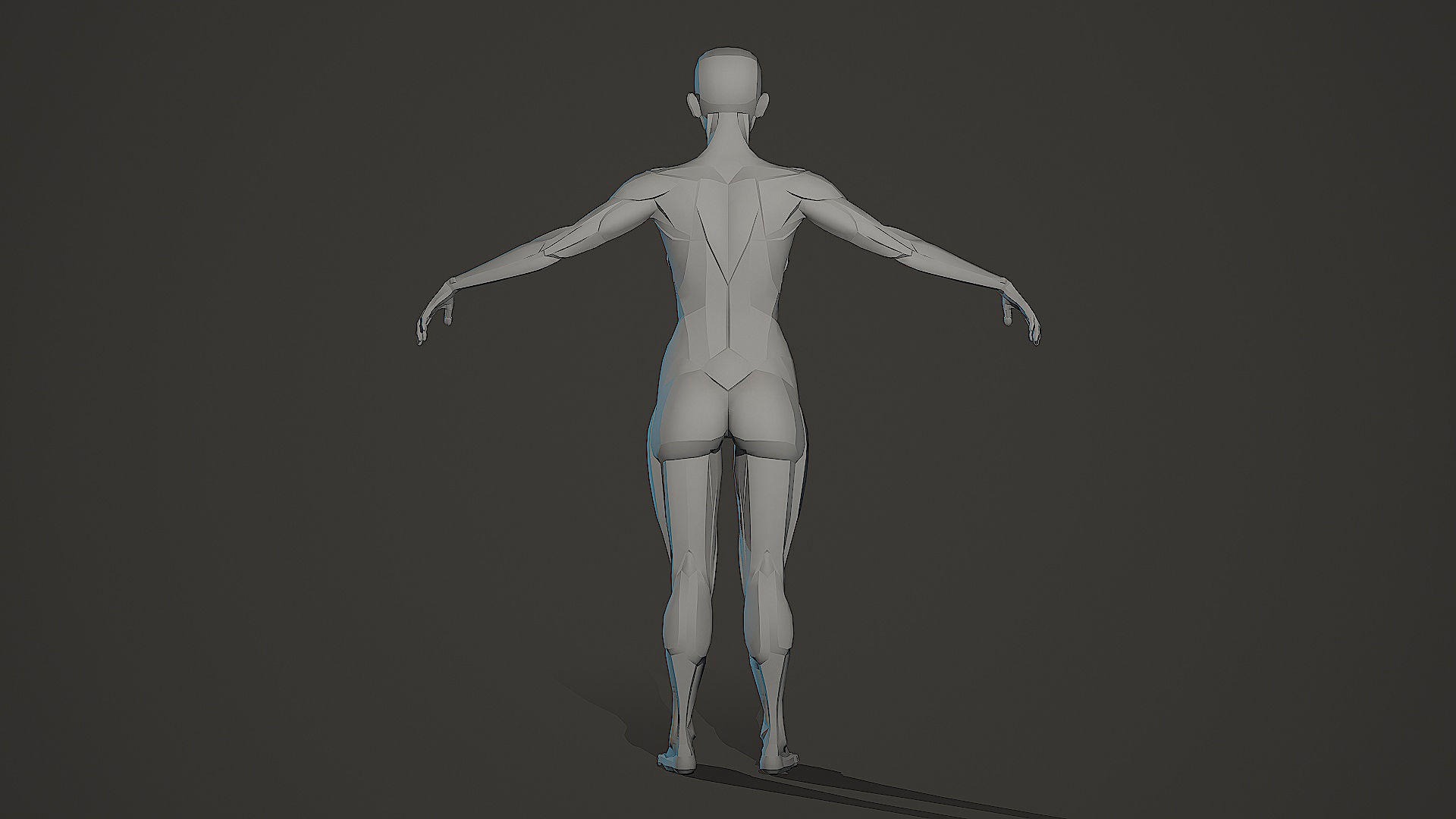 Character - Female Planar Anatomy Body Base Low-poly 3D model_14