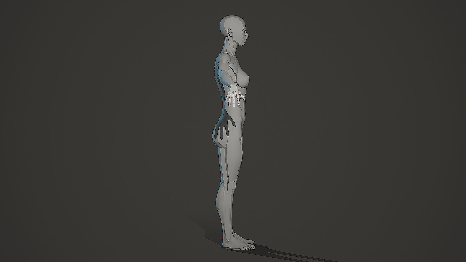 Character - Female Planar Anatomy Body Base Low-poly 3D model_12