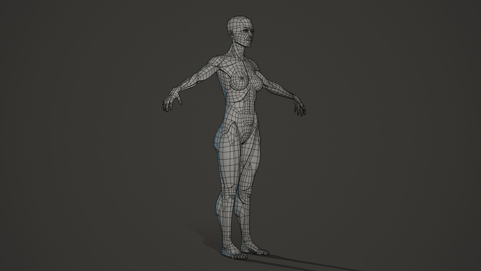 Character - Female Planar Anatomy Body Base Low-poly 3D model_3