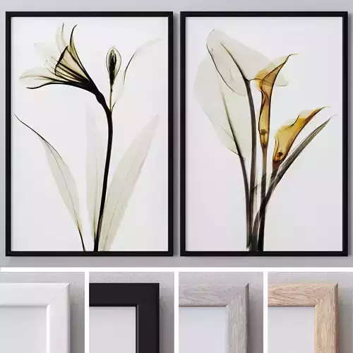 Photo Frames Set  17