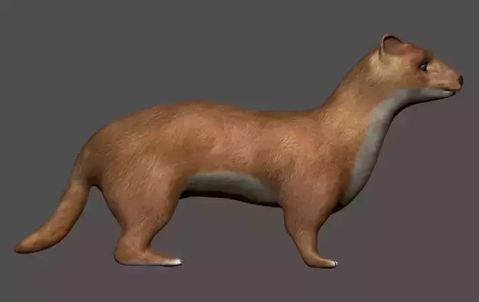Weasel