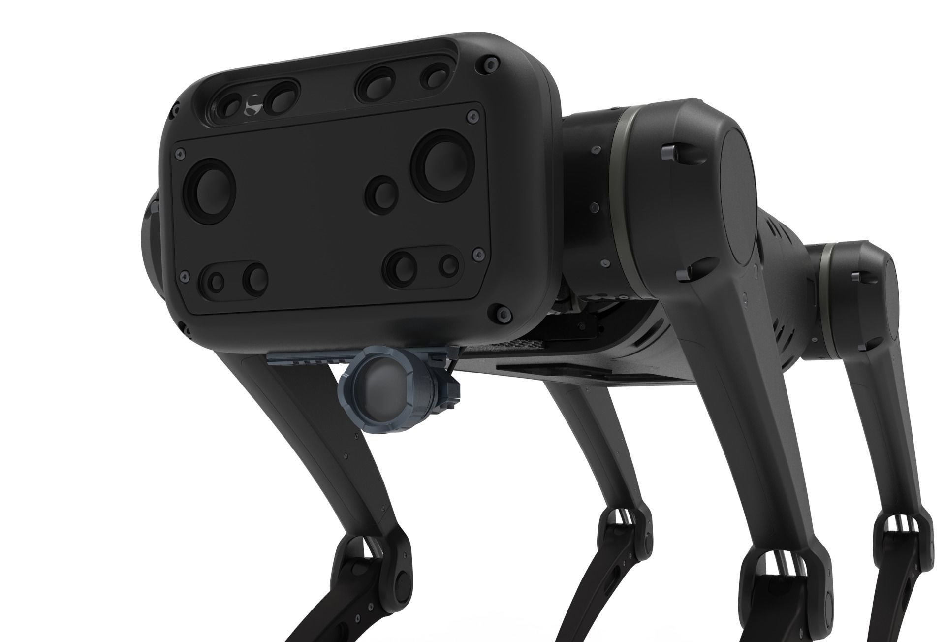 Robot dog  3D model_11