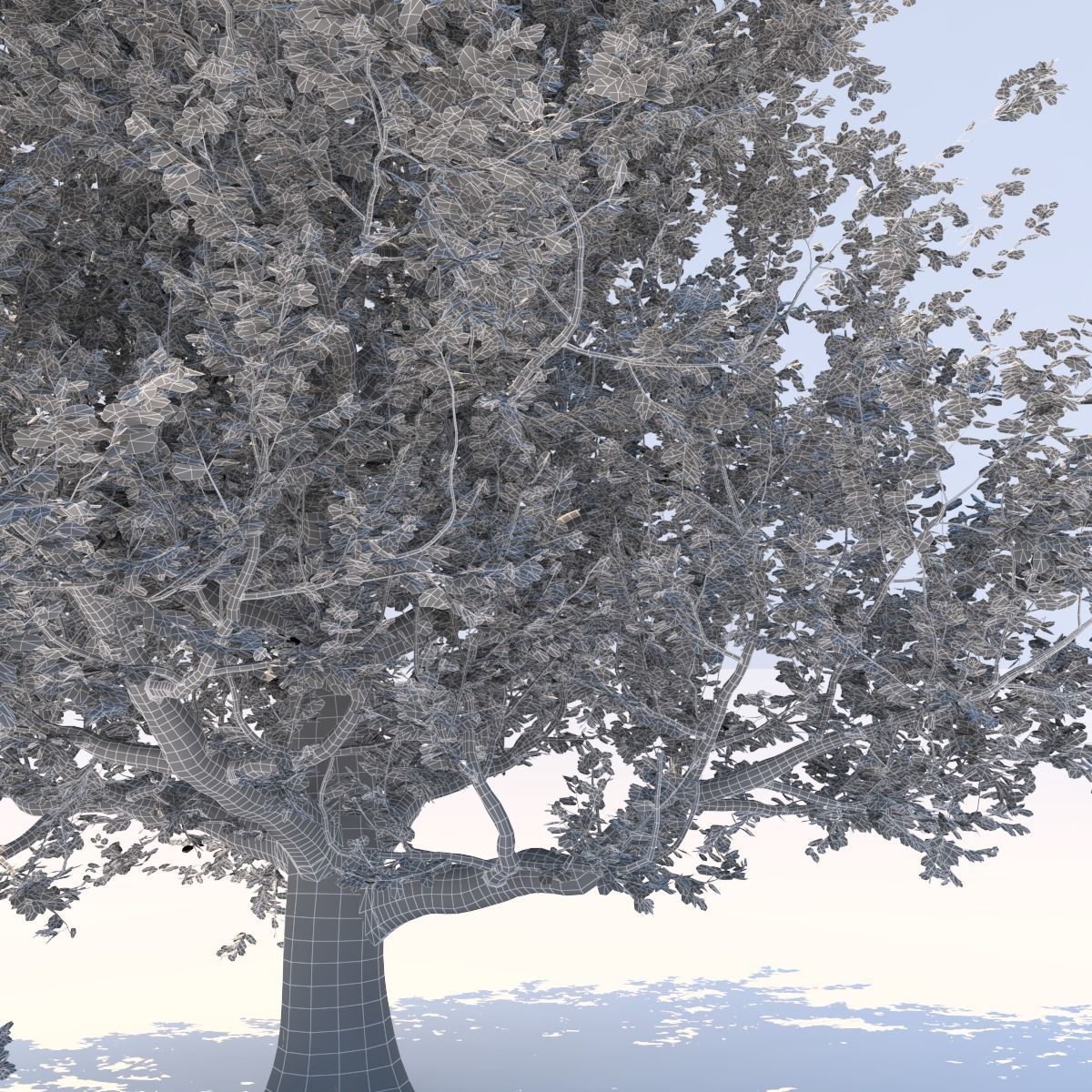 Oak tree Free 3D model_9