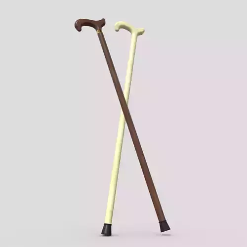 Walking Stick 2