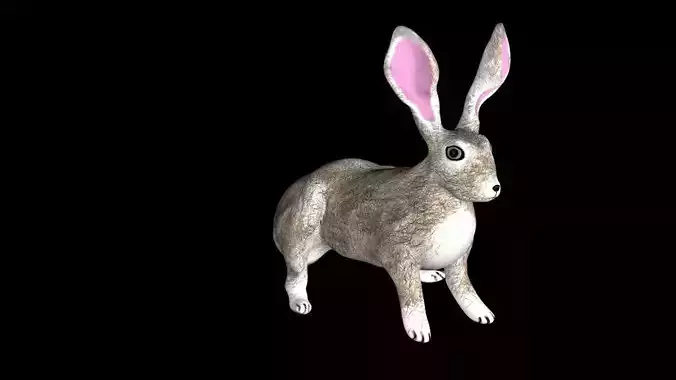 hare cartoon character