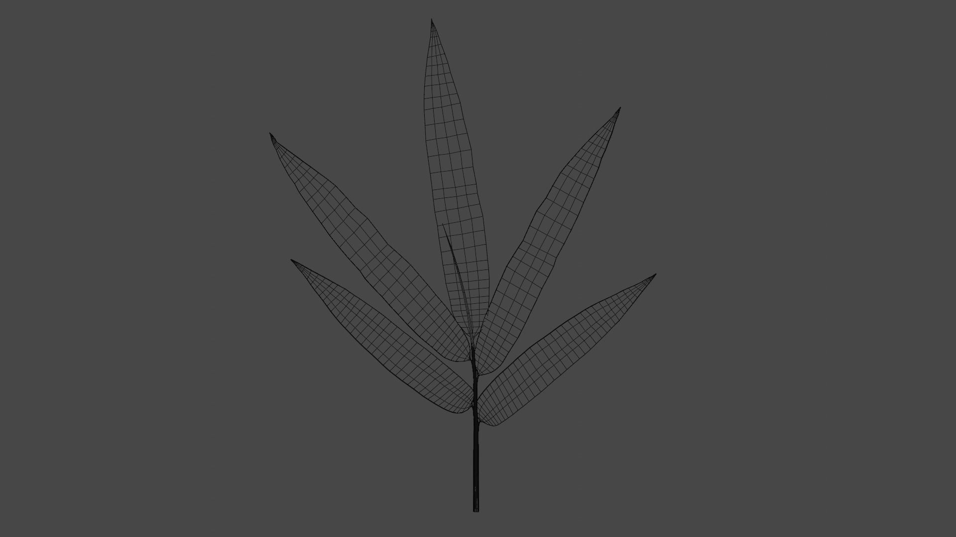 Bamboo leaf 3D model_9