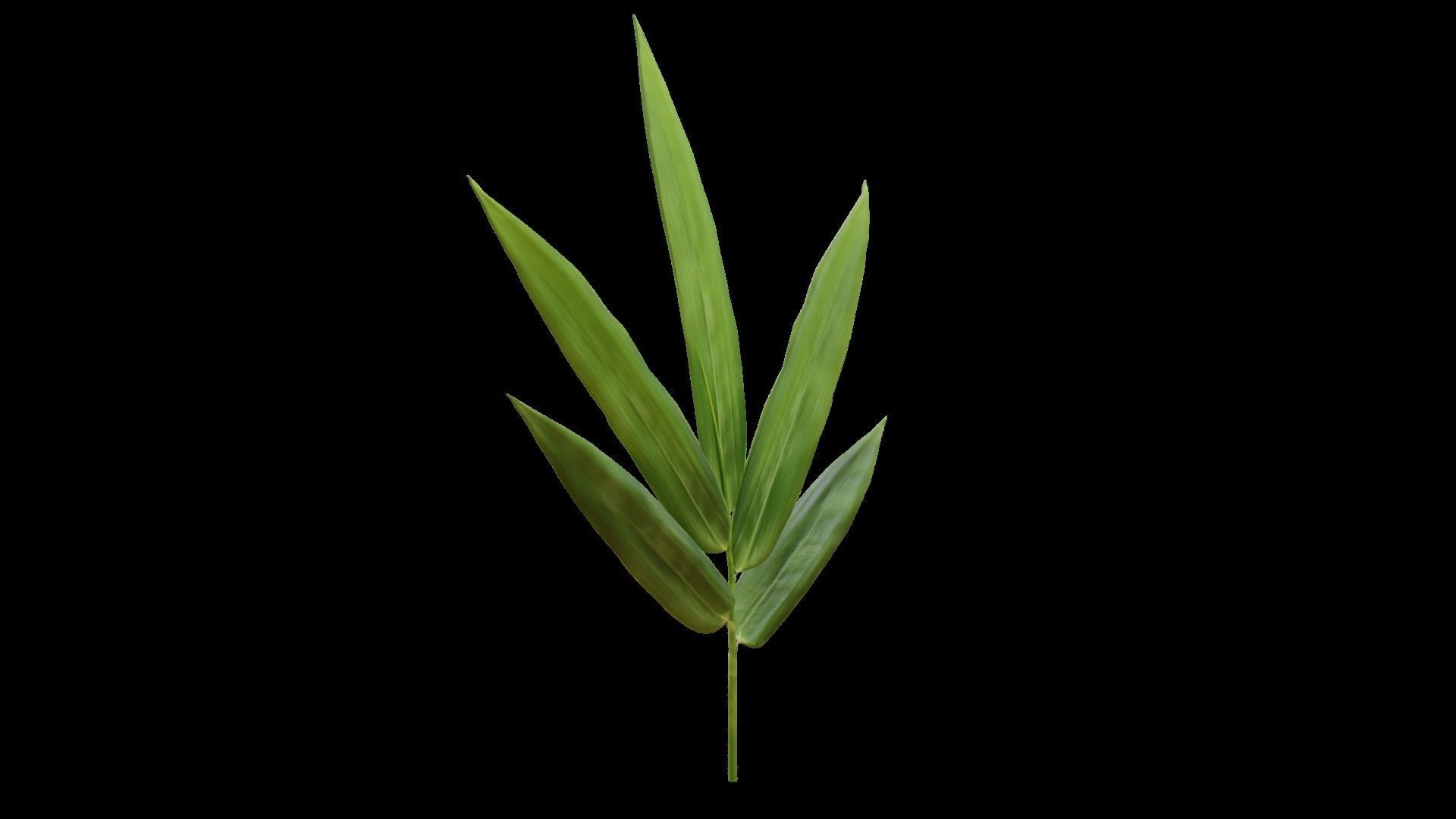 Bamboo leaf 3D model_4