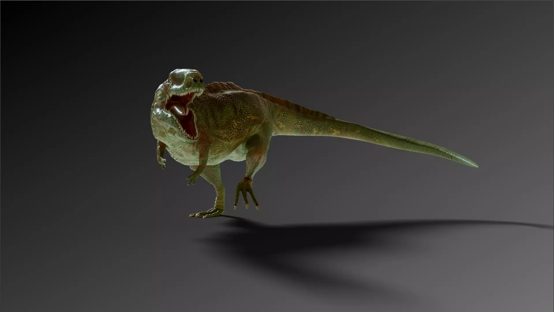 Giganotosaurus dinosaur Low-poly 3D model_0