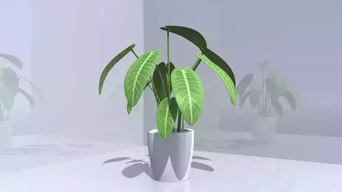 remitree plant in vase