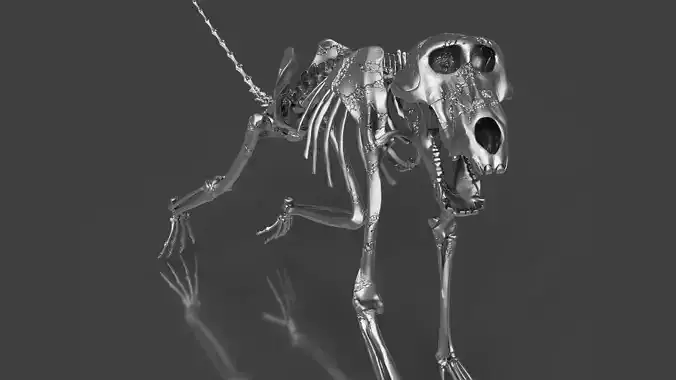 Silver Baboon Skeleton