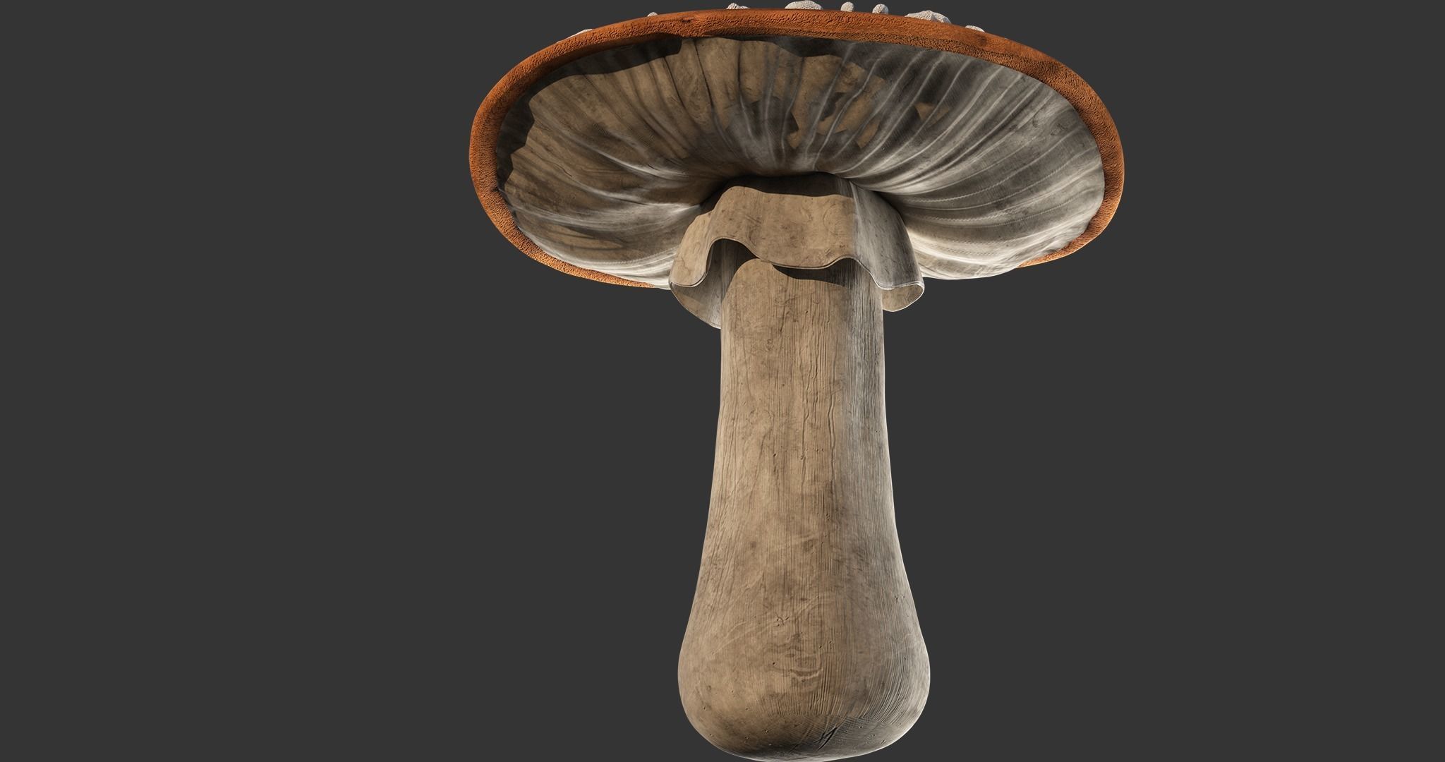 Mushroom on wooden stick Low-poly 3D model_4