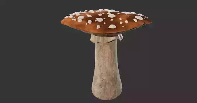 Mushroom on wooden stick