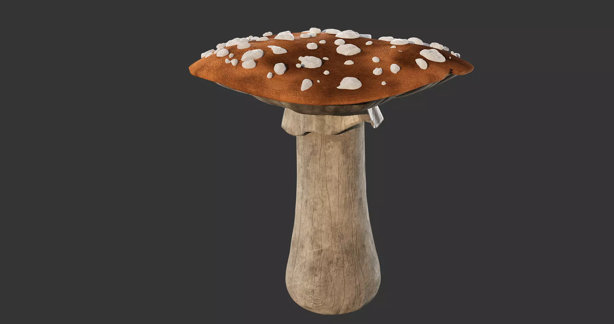 Mushroom on wooden stick Low-poly 3D model_0