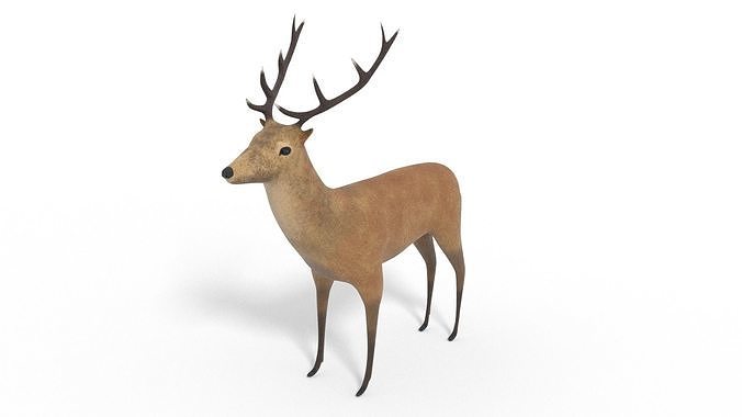 3D Deer Model and Animation Low-poly 3D model