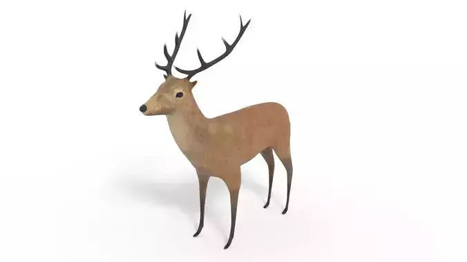3D Deer Model and Animation Low-poly 3D model