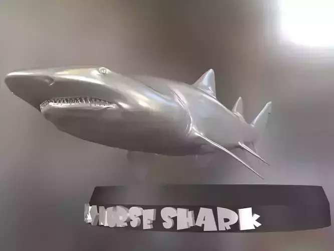 Grey Nurse Shark Printable