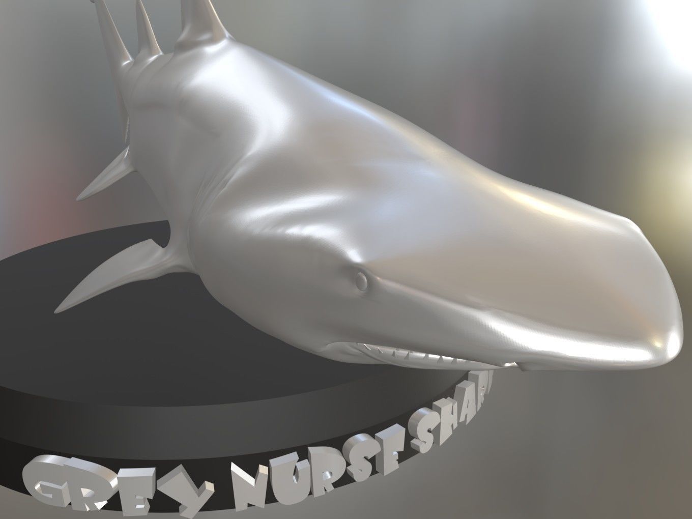 Grey Nurse Shark Printable 3D print model_7
