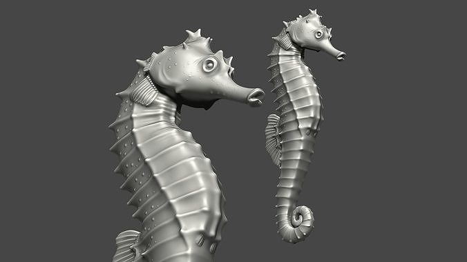 Seahorse print model 3D print model