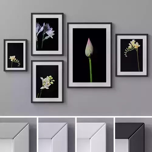Photo Frames Set  25
