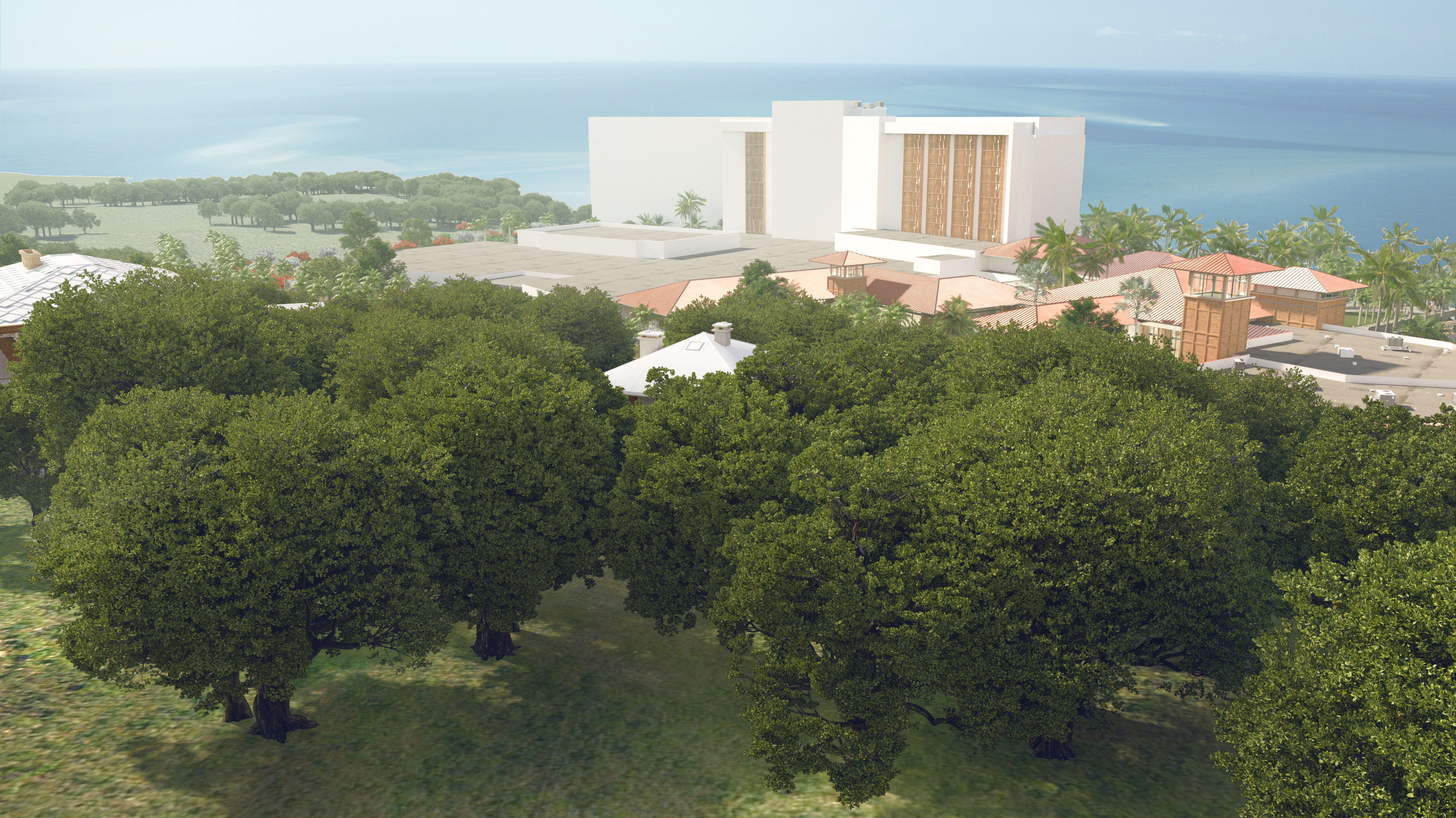 5 models of coast live oak trees 3D Model Collection_3