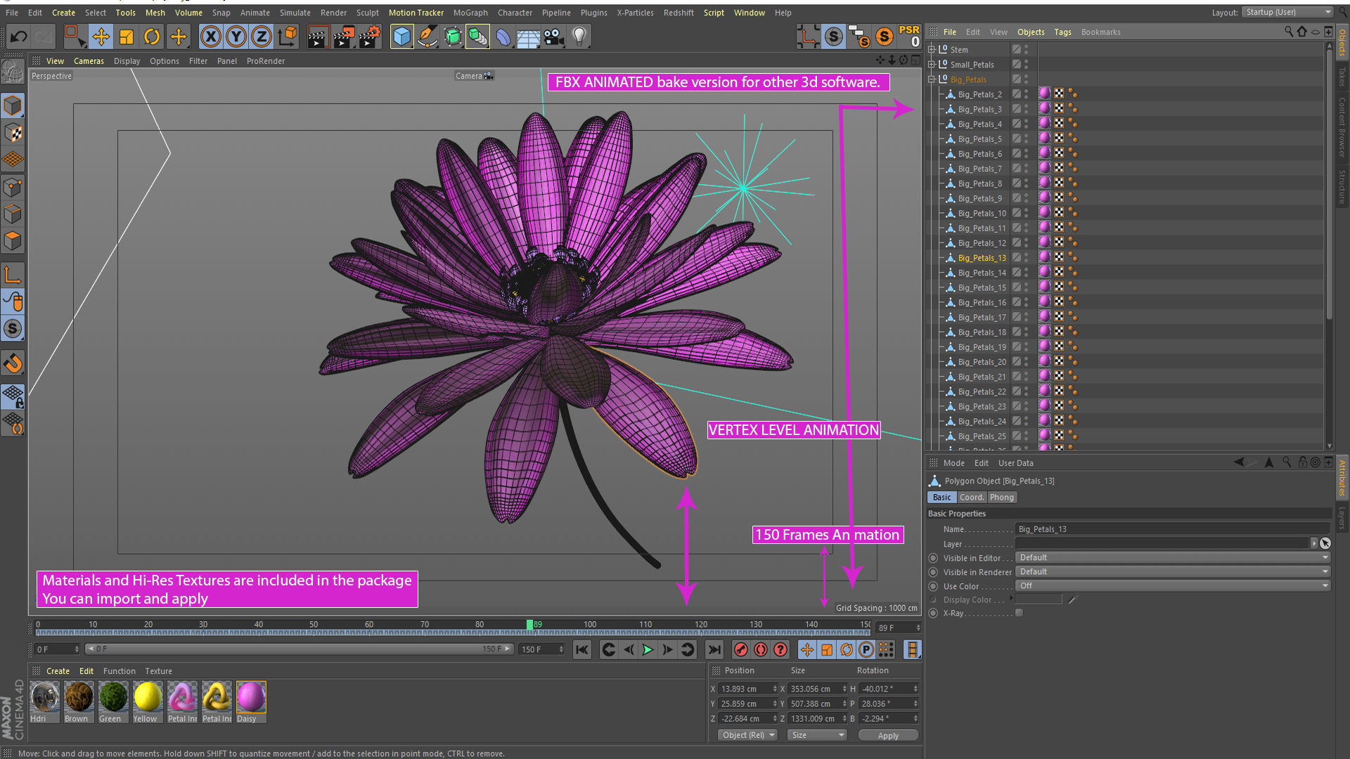 3d Daisy Flower Animated 3D model_10