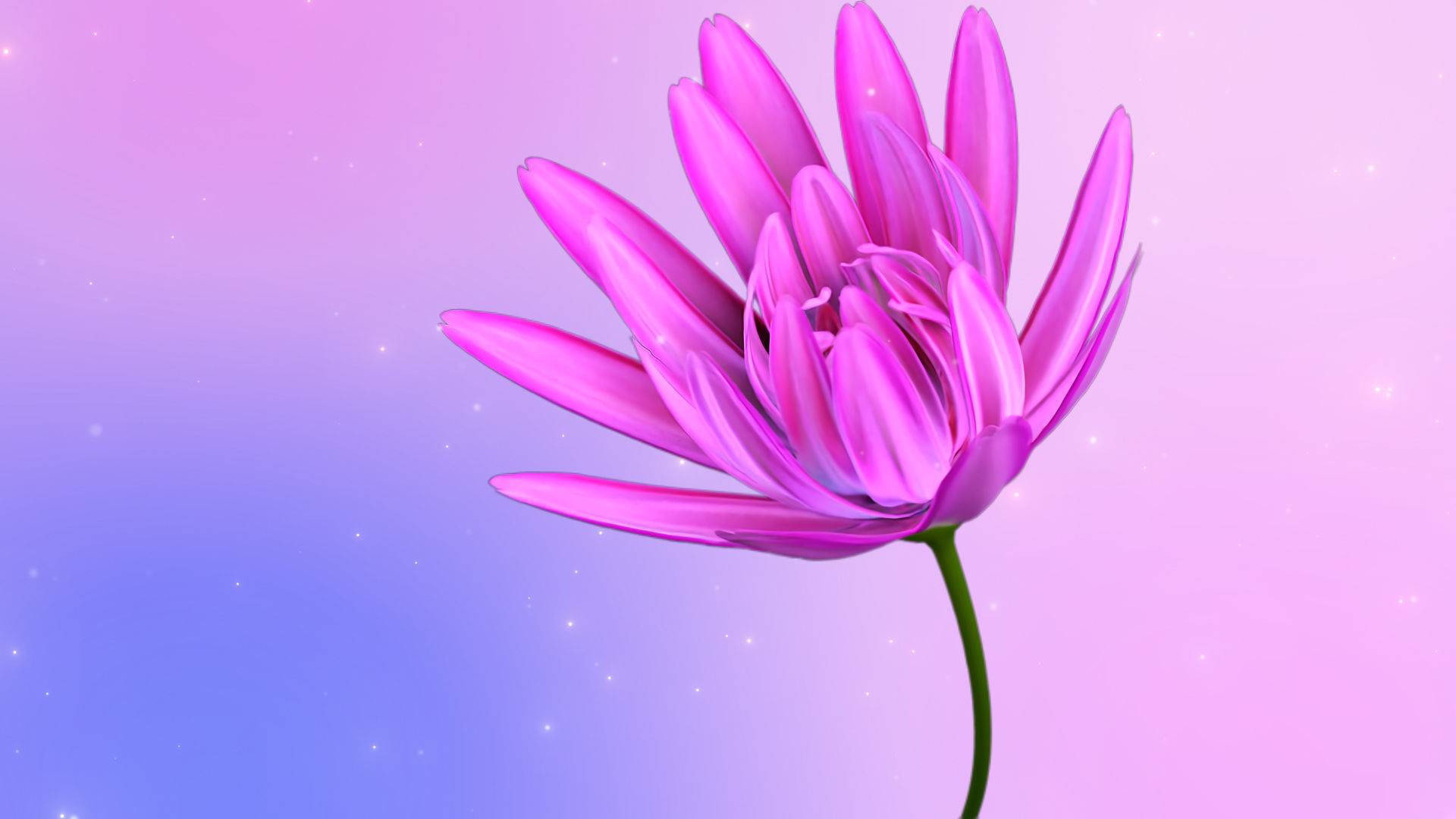 3d Daisy Flower Animated 3D model_3