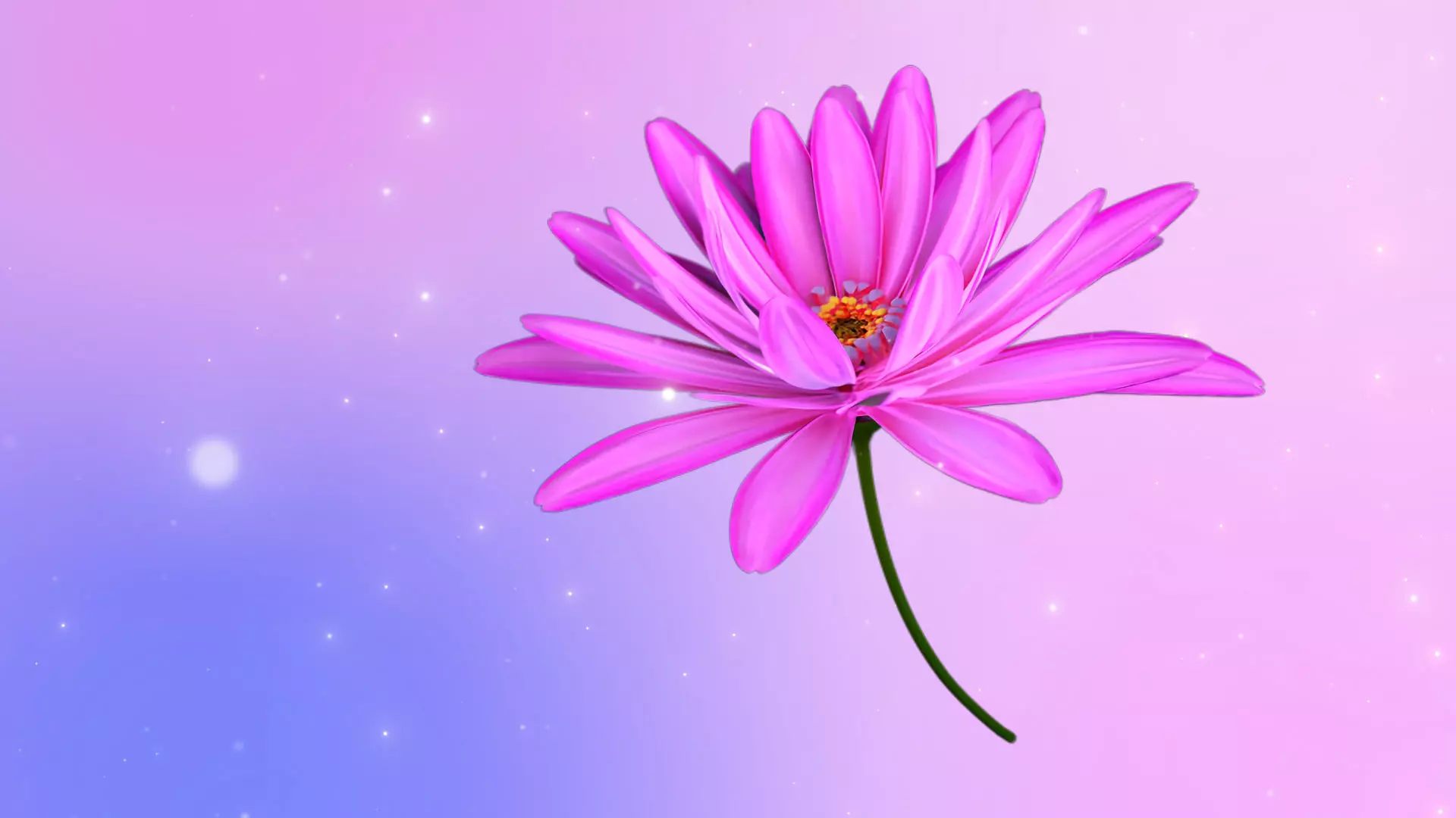 3d Daisy Flower Animated 3D model_0