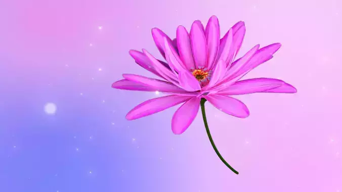 3d Daisy Flower Animated 3D model