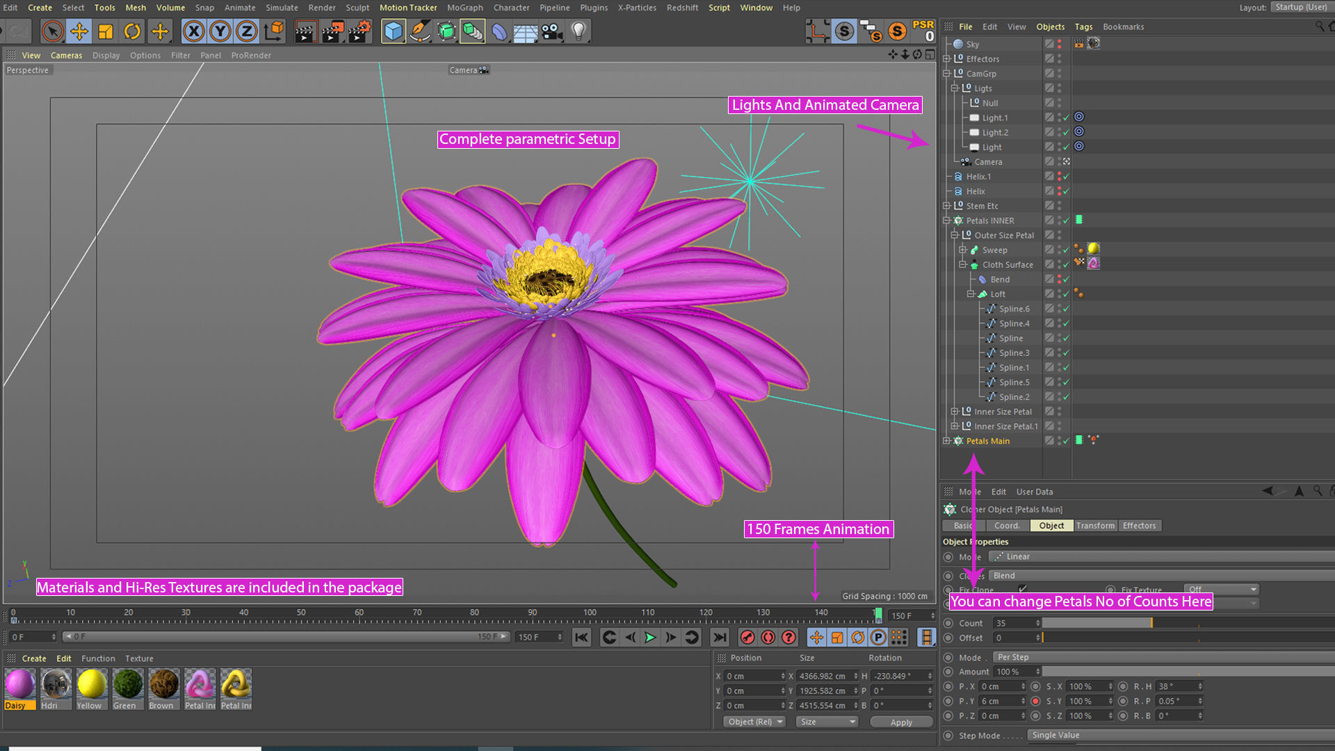 3d Daisy Flower Animated 3D model_6