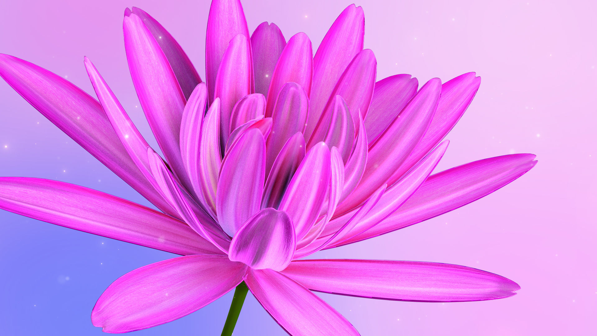 3d Daisy Flower Animated 3D model_7
