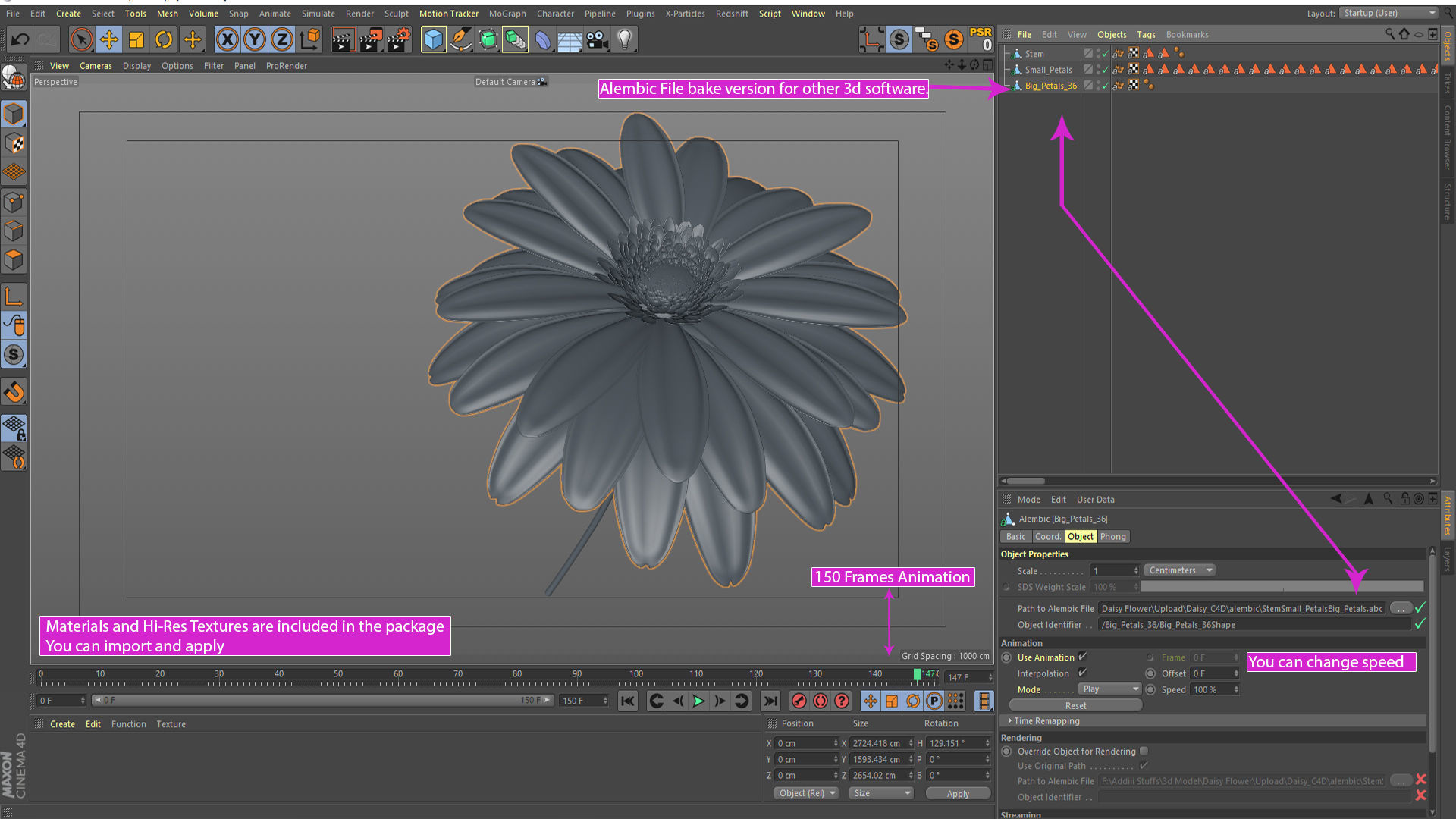 3d Daisy Flower Animated 3D model_8