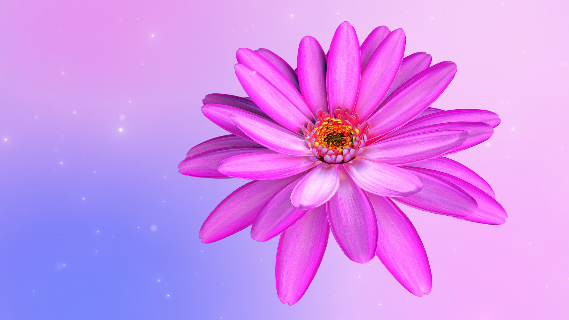 3d Daisy Flower Animated 3D model_4