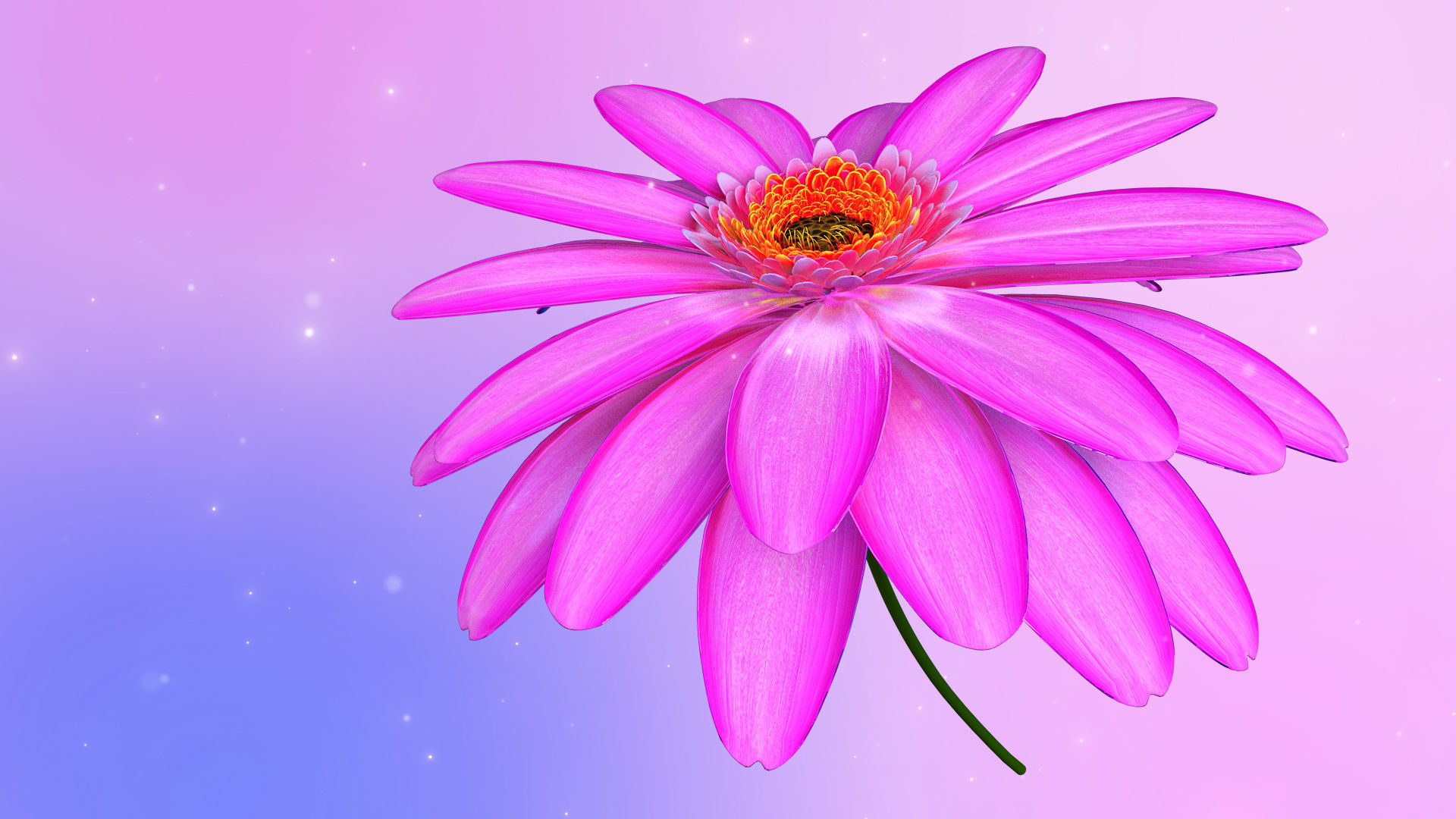 3d Daisy Flower Animated 3D model_5