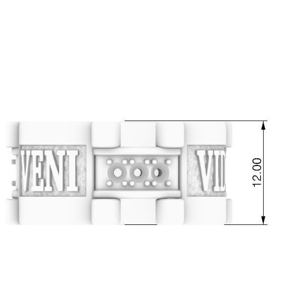 Veni Vidi Vici Ring 3D print model_8