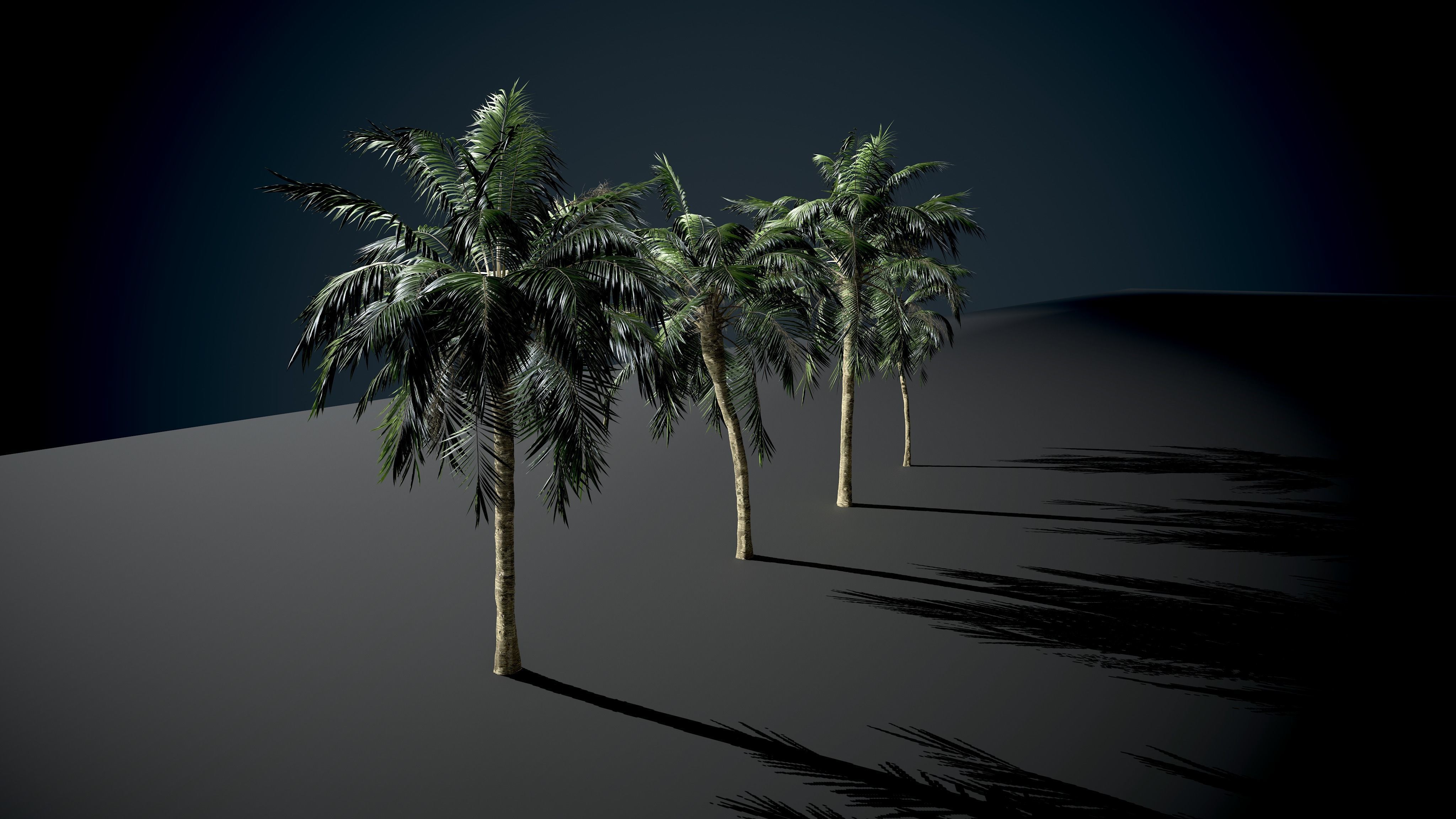 Palm tree Coconut Pack 4 Model Set 3D model_6