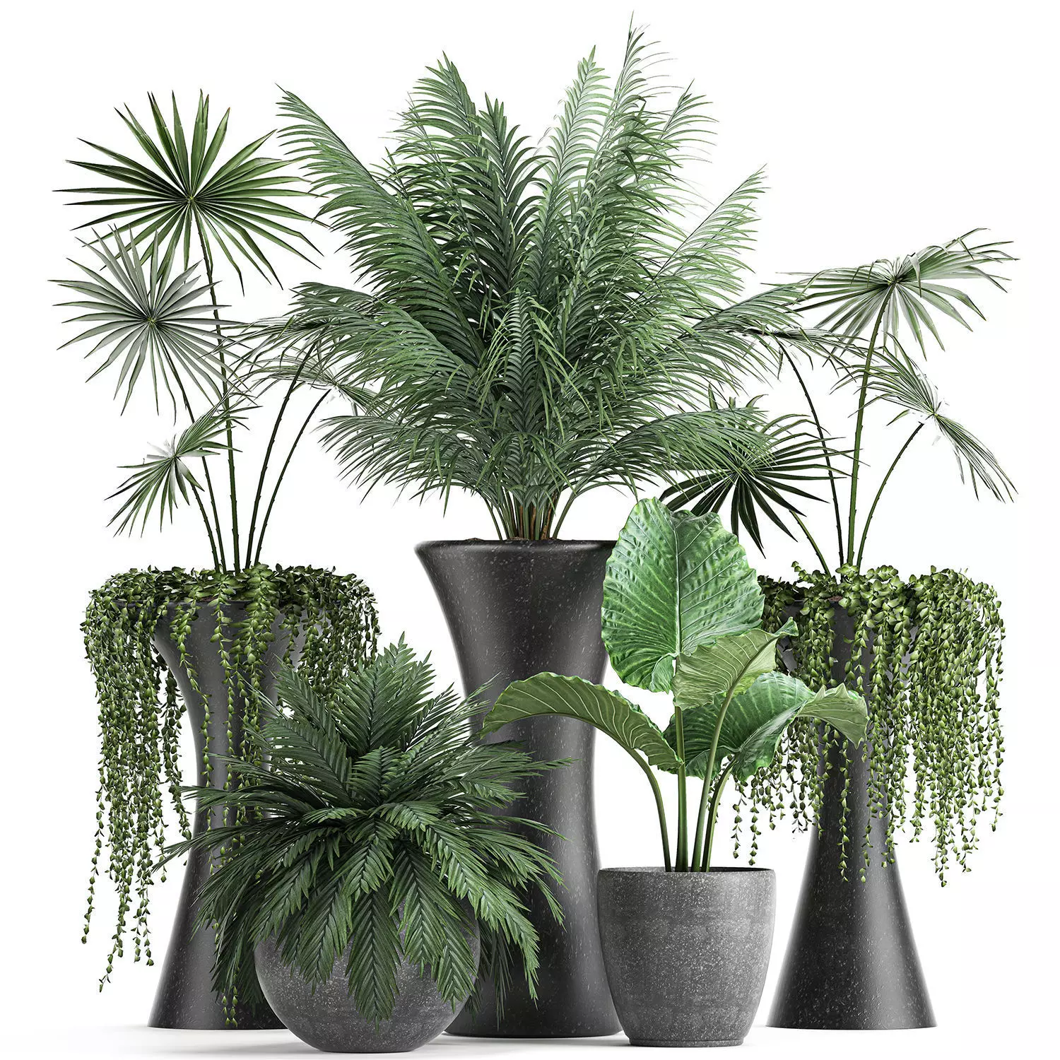 Collection of decorative plants in flowerpots 829 3D model
