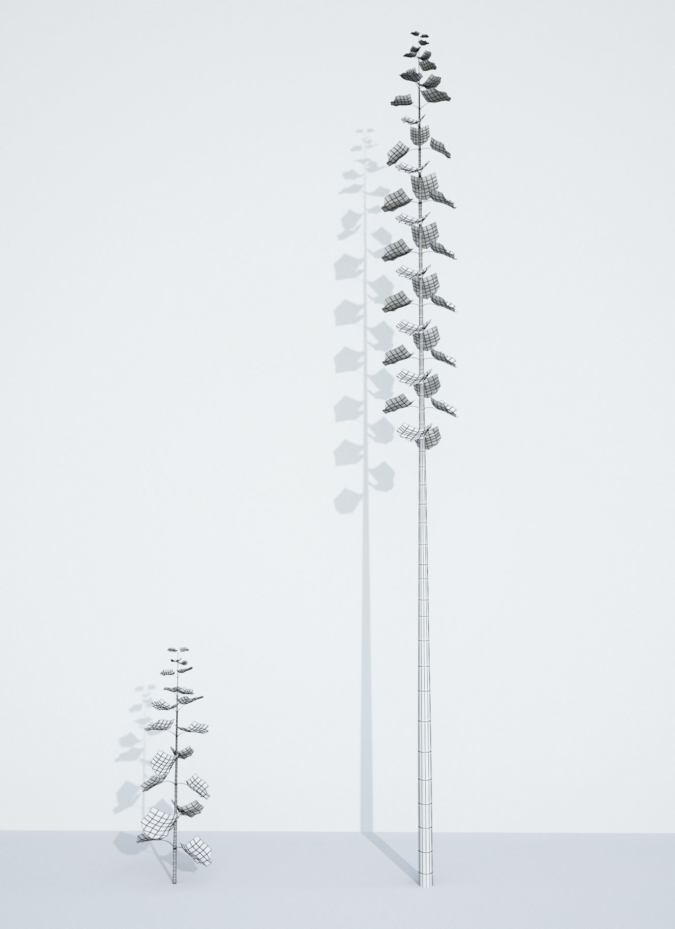 Animated Growing Plant Low-poly 3D model_5