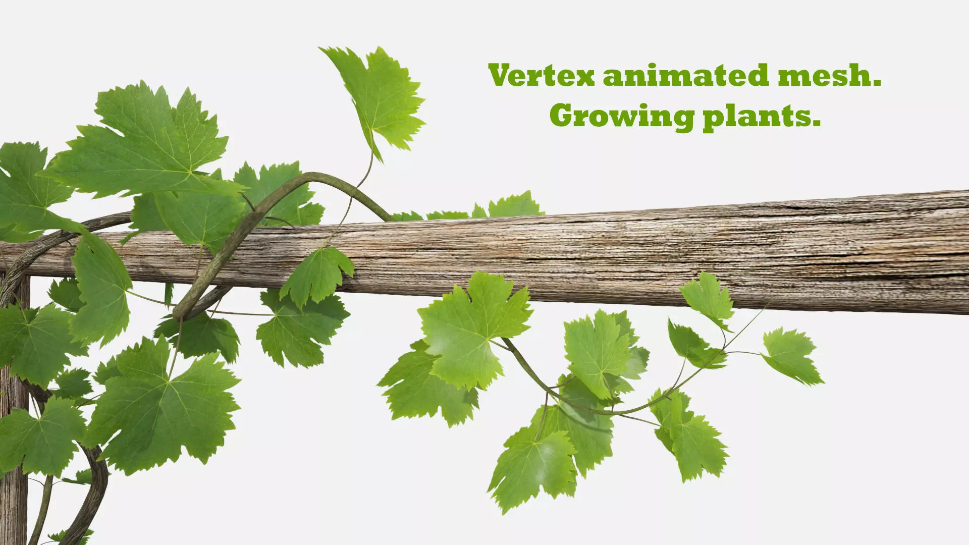 Animated Growing Plant Low-poly 3D model_0