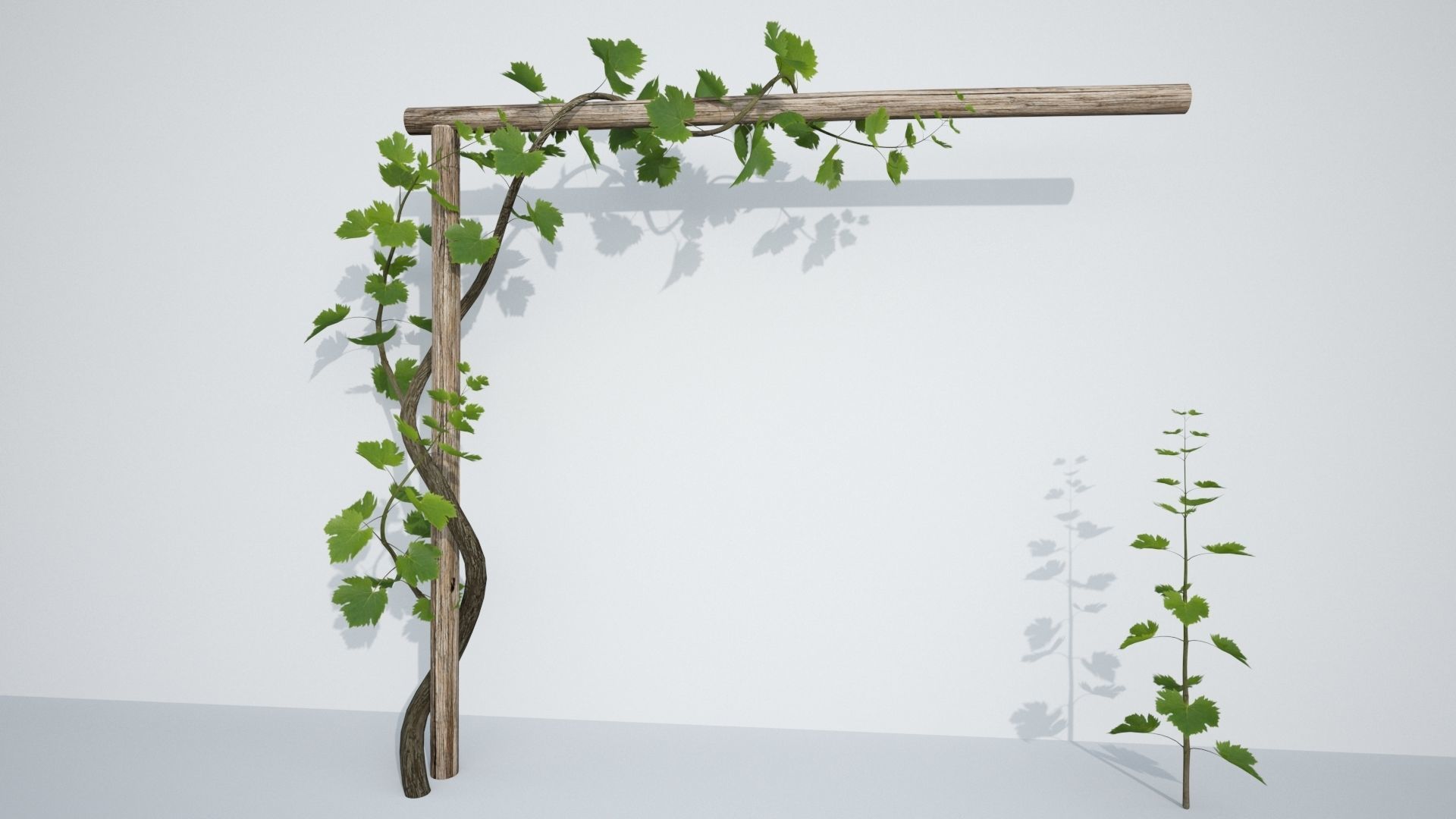 Animated Growing Plant Low-poly 3D model_2