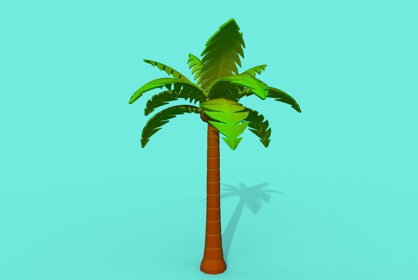 Cartoon Palm Tree  Low-poly 3D model_2