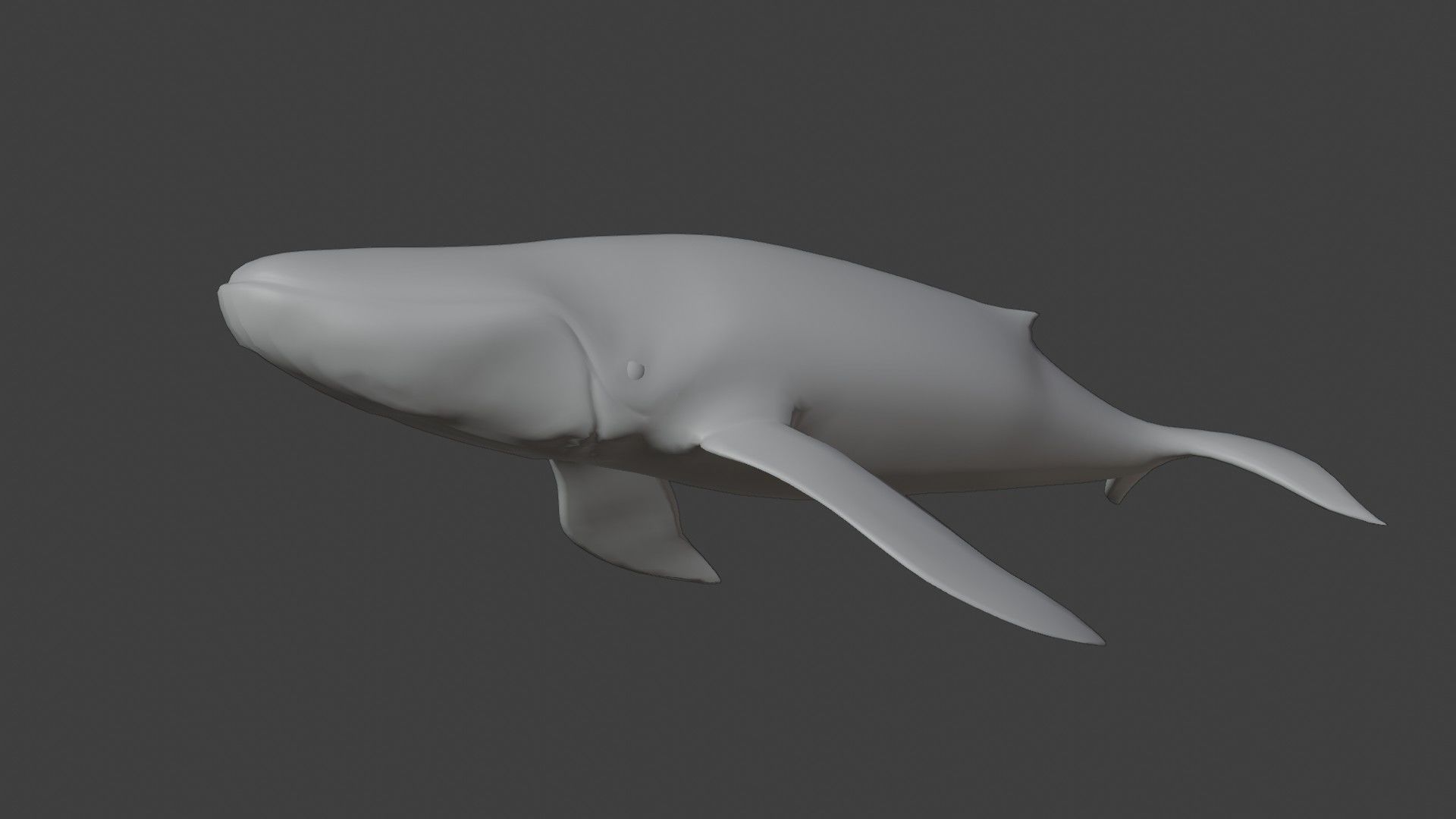 Blue Whale Low-poly 3D model_4