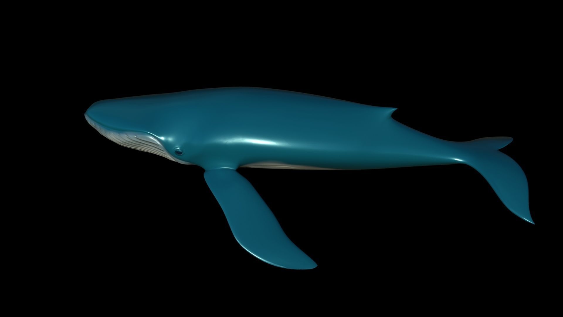 Blue Whale Low-poly 3D model_2
