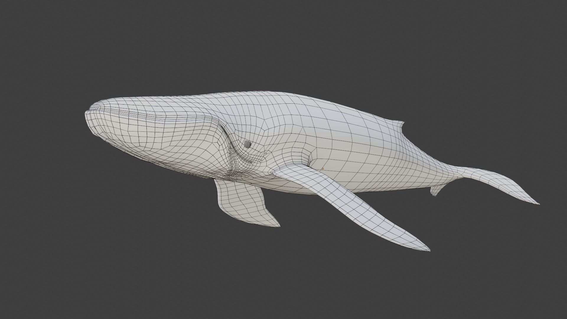 Blue Whale Low-poly 3D model_6