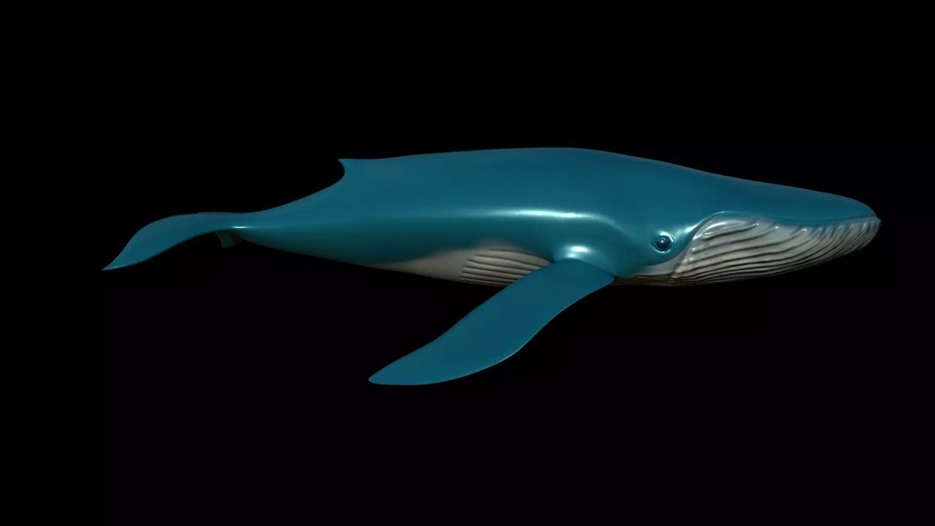 Blue Whale Low-poly 3D model_0