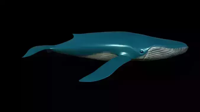 Blue Whale Low-poly 3D model