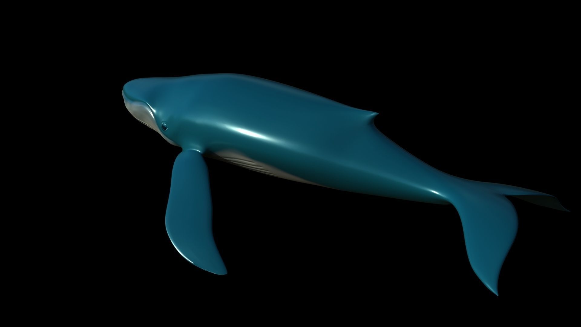 Blue Whale Low-poly 3D model_3
