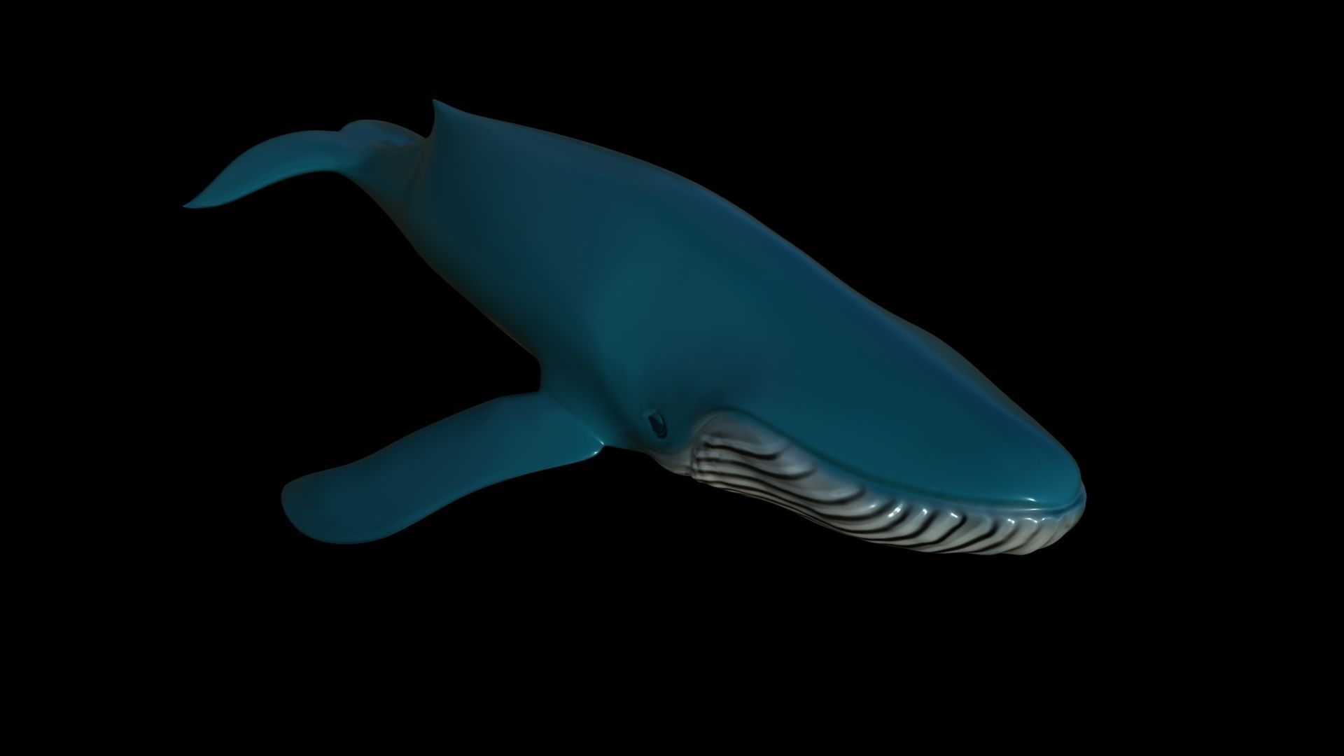 Blue Whale Low-poly 3D model_1