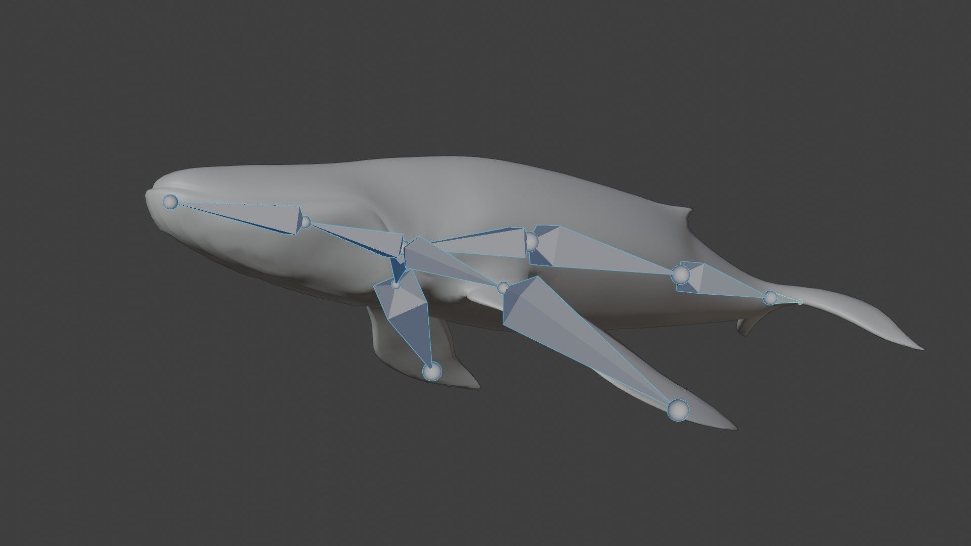 Blue Whale Low-poly 3D model_5
