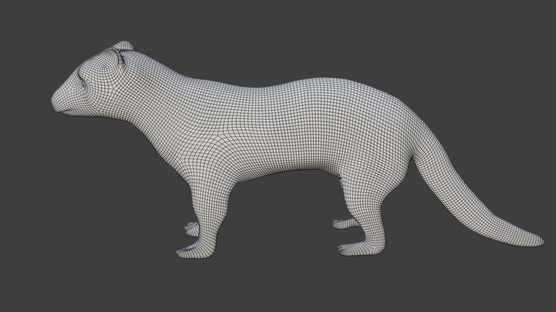 Mongoose kangaroo Low-poly 3D model_6